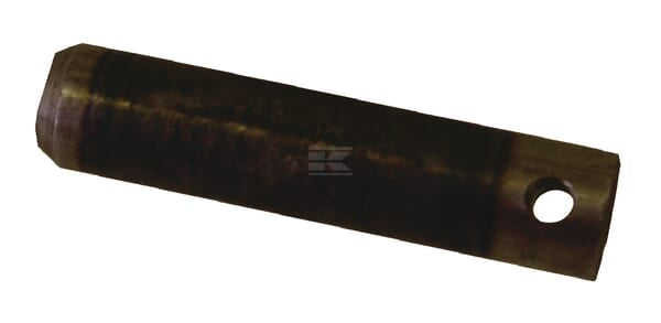Bolzen 25x110 (1x8x100)