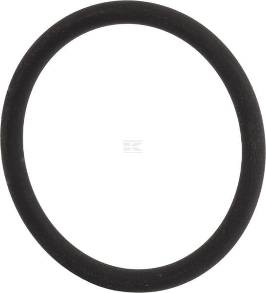 O-Ring