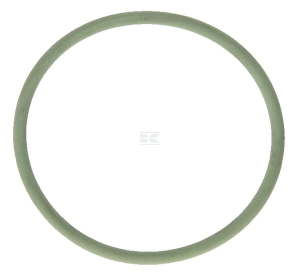 O-Ring