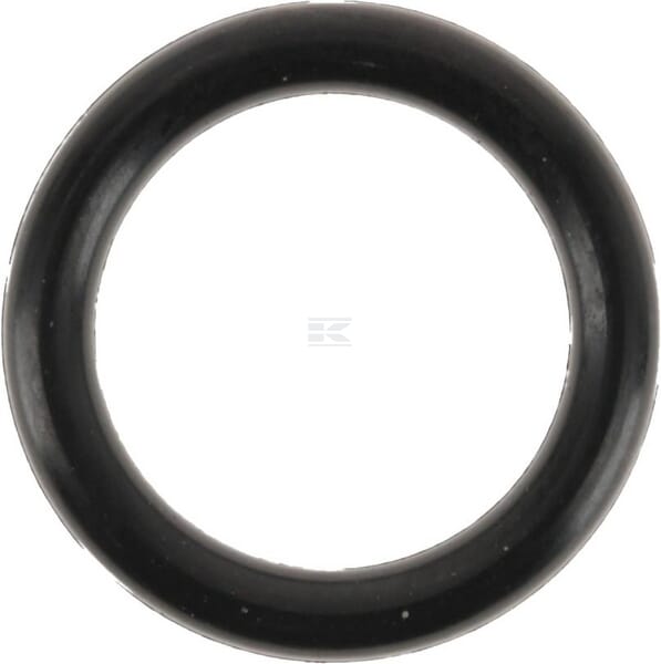 O-Ring