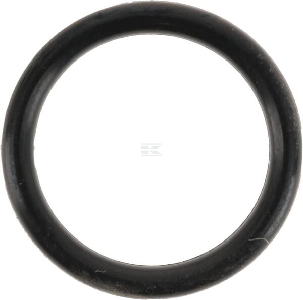 O-Ring