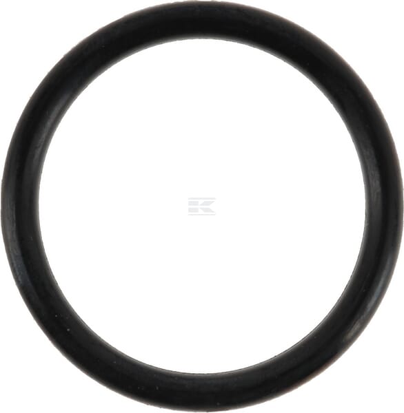 O-Ring
