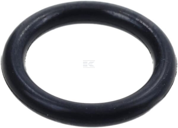 O-Ring