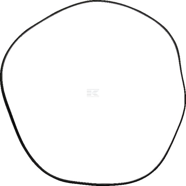 O-Ring