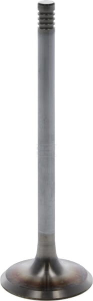 Einlassventil