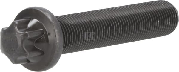 Torx-Schraube