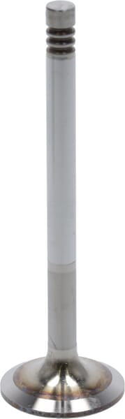 Einlassventil