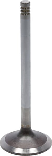 Einlassventil
