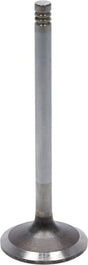 Einlassventil