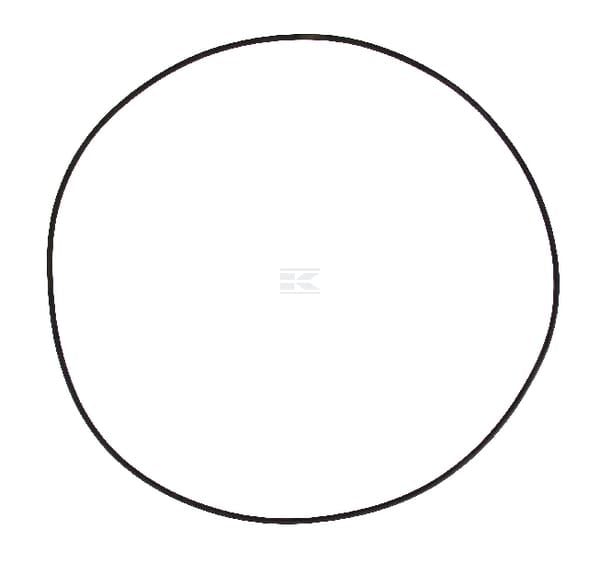 Dichtring