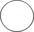 O-Ring