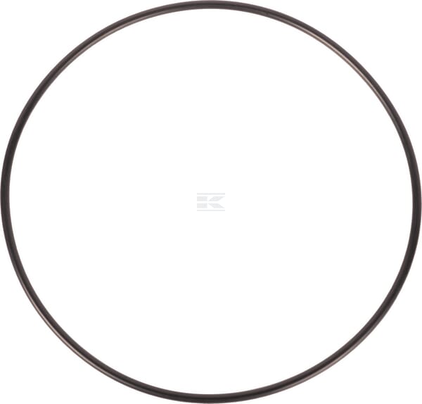 O-Ring