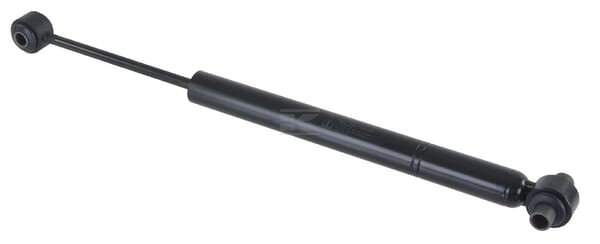Stoßdämpfer AM 2000 BPW