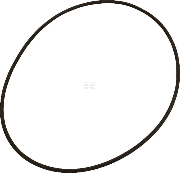 O-ring