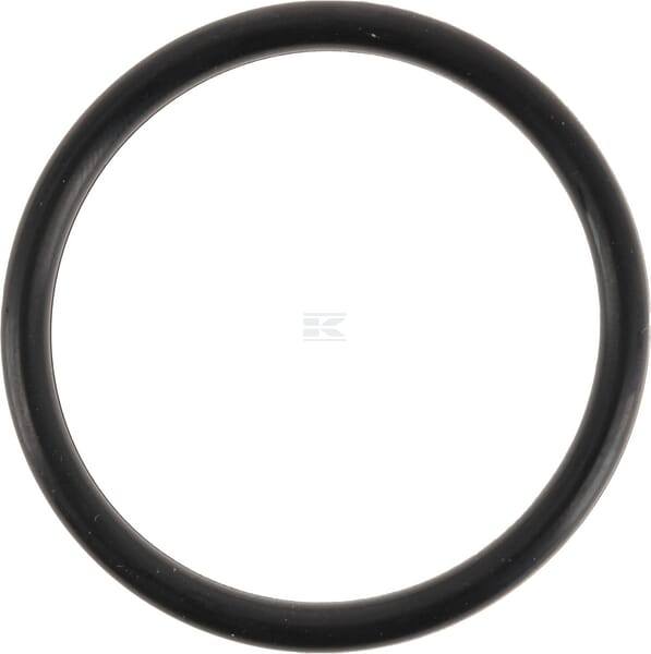 O-Ring