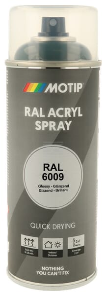 RAL 6009 Acrylspray Tannengrün