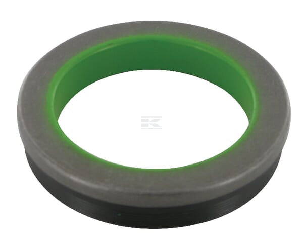 Dichtring