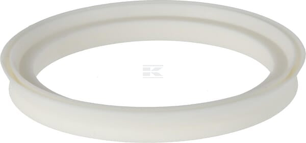 Dichtungsring