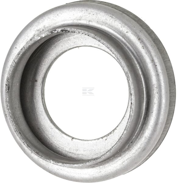Gleitring