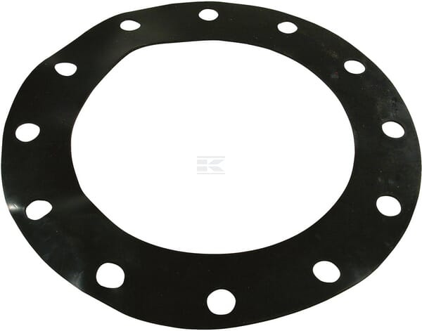 Dichtung für 10" Normflansch
