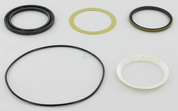 Dichtsatz 61236 CHAR LYNN 4000 SERIE (109)