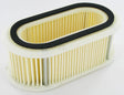 Luftfilter oval