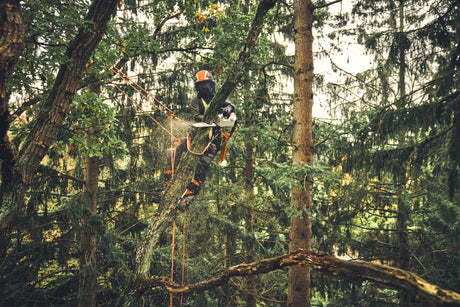 STIHL MSA 220 TC-O, PS3 Pro, Schienenlänge 35 cm