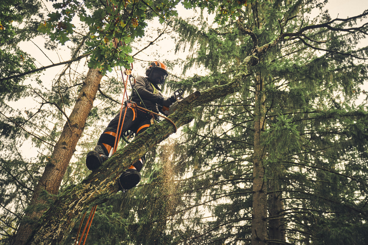 STIHL MSA 220 T, PS3 Pro, Schienenlänge 35 cm