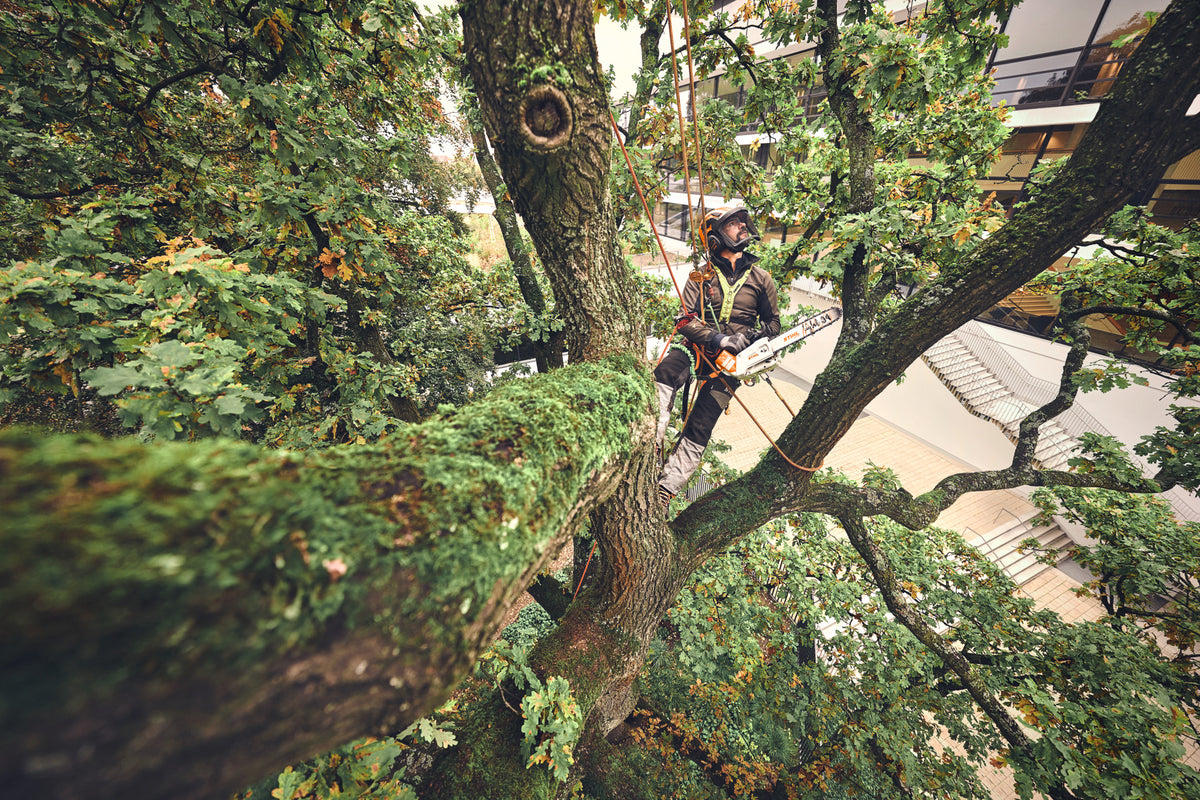 STIHL MSA 220 TC-O, PS3 Pro, Schienenlänge 35 cm