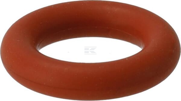 O-Ring