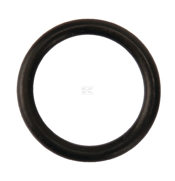 O-RING 19x3