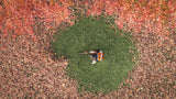 STIHL BRA 600 B