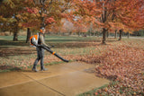 STIHL BRA 600 B