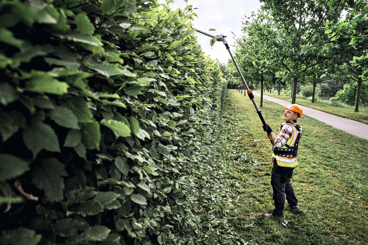 STIHL HLA 150 B, Schnittlänge 60 cm
