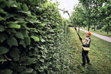 STIHL HLA 150 B, Schnittlänge 60 cm