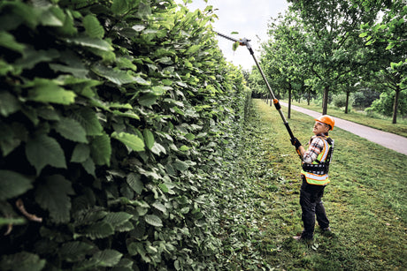 STIHL HLA 150 B, Schnittlänge 60 cm