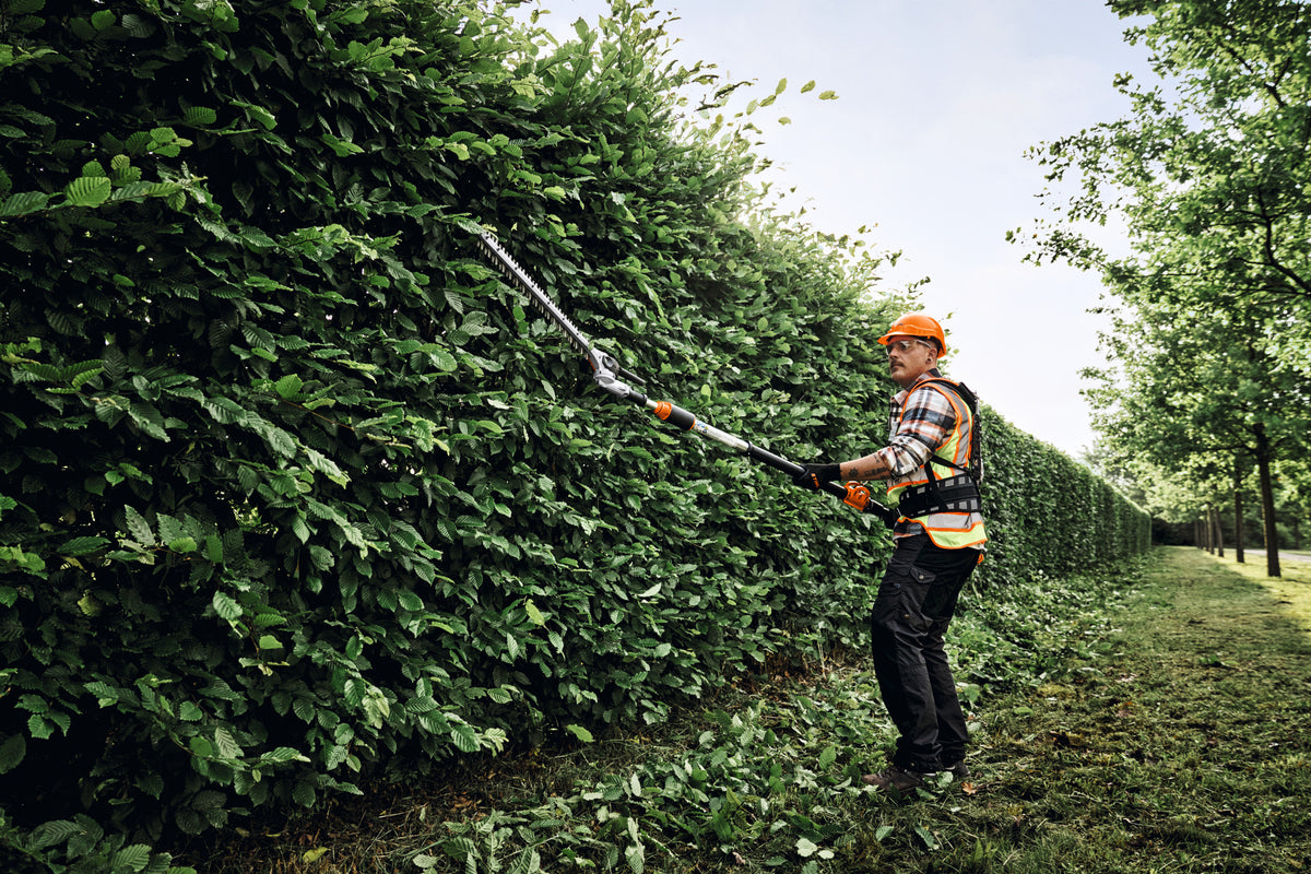 STIHL HLA 150 B, Schnittlänge 60 cm