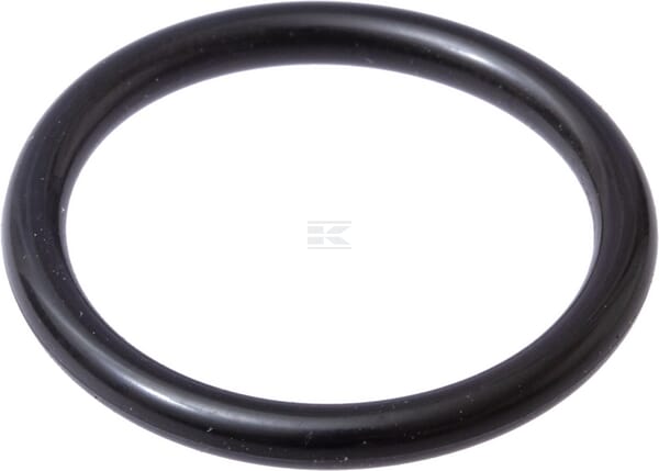 O-Ring