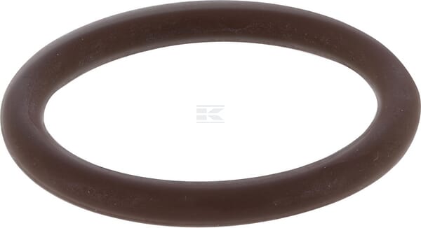 O-Ring