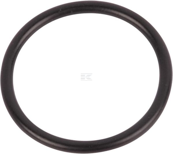 O-Ring