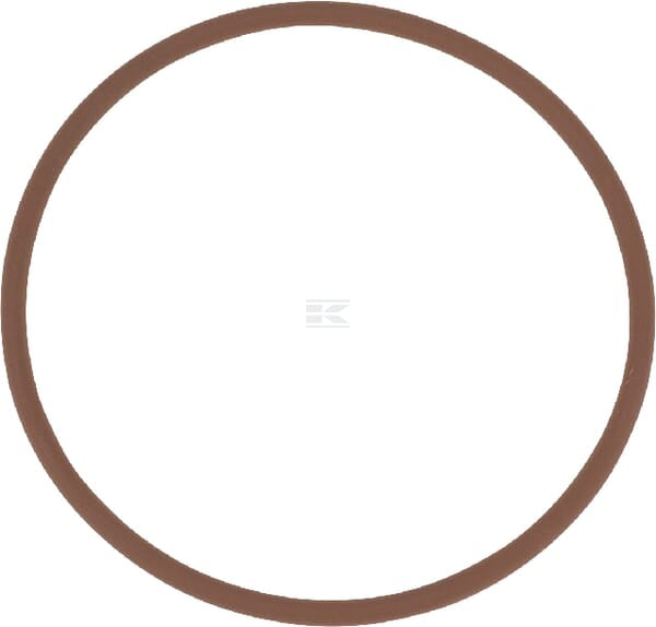 O-Ring