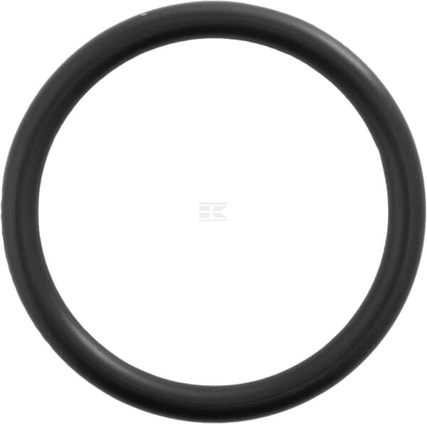 Dichtring