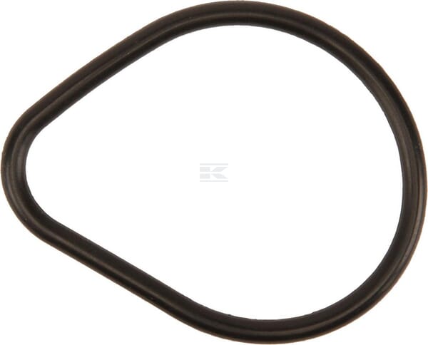 O-Ring, Pumpendeckel