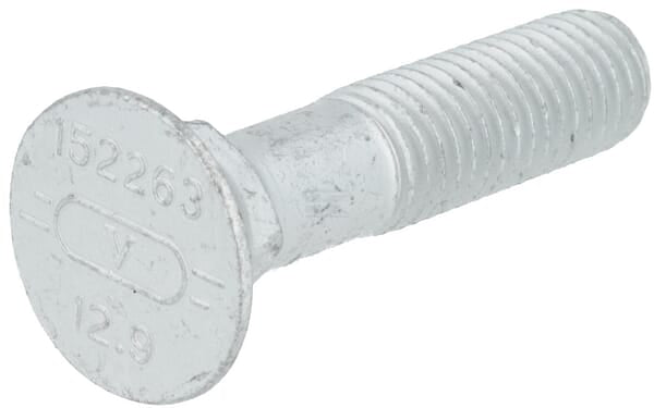 Schraube M12x55