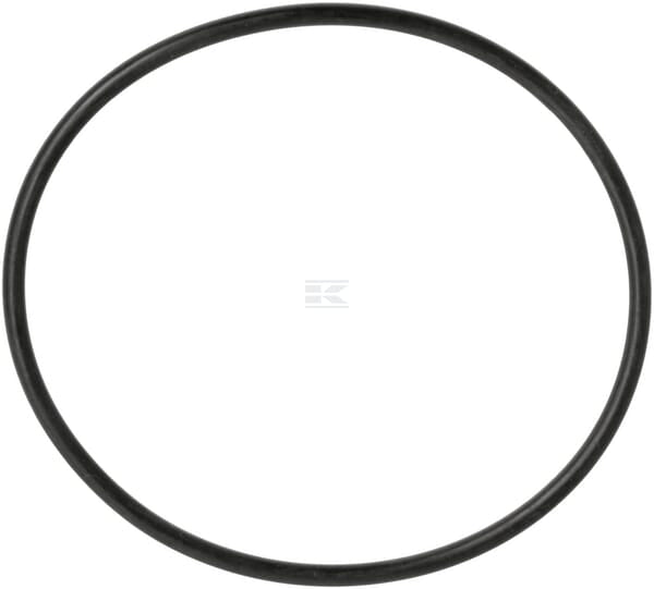 Dichtring