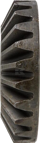 Ritzel