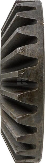 Ritzel