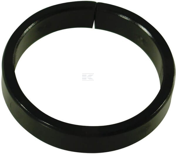 Gleitring