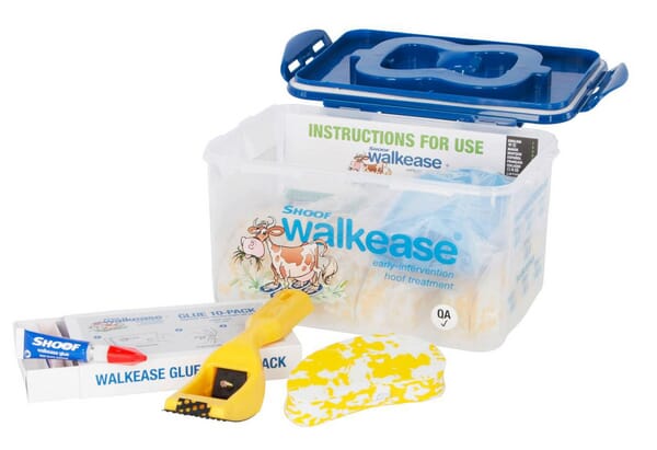 Walkease Ersatzraspel