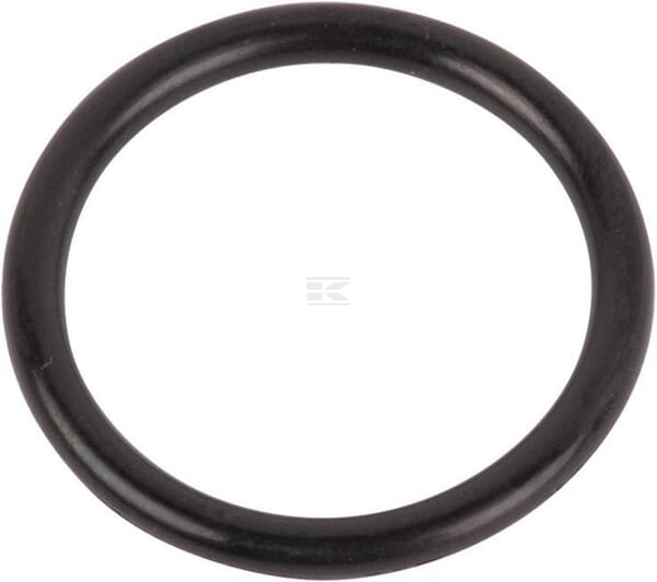 O-Ring